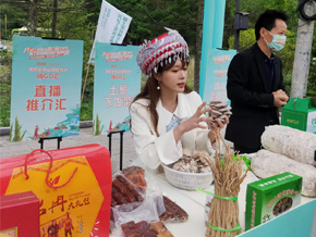 龙桥土家族乡第六届采笋季暨土家风情农特产购物游活动 直播板块