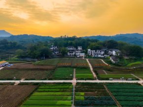 南岸供销社农旅项目——清油农社现场实